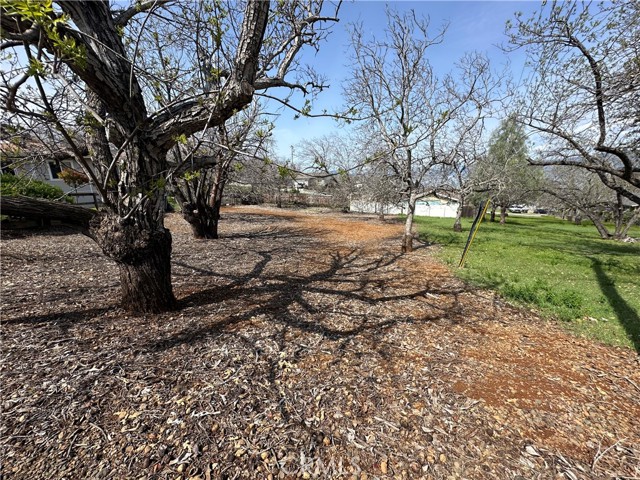 3165 Marina View Drive, Kelseyville