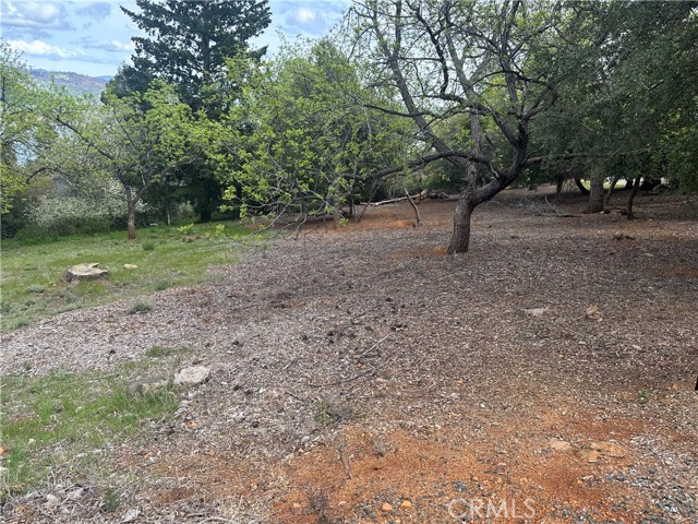 3680 Greenwood Drive, Kelseyville