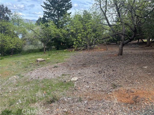 3680 Greenwood Drive, Kelseyville
