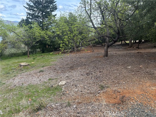 3680 Greenwood Drive, Kelseyville