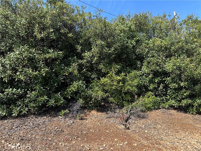 3410 Riviera West Drive, Kelseyville