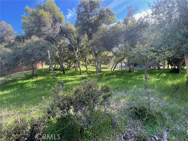 10789 Harbor Road, Kelseyville
