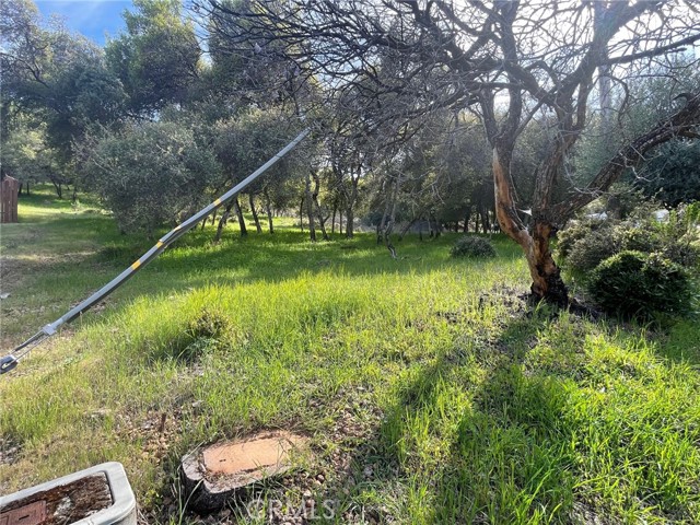 10789 Harbor Road, Kelseyville