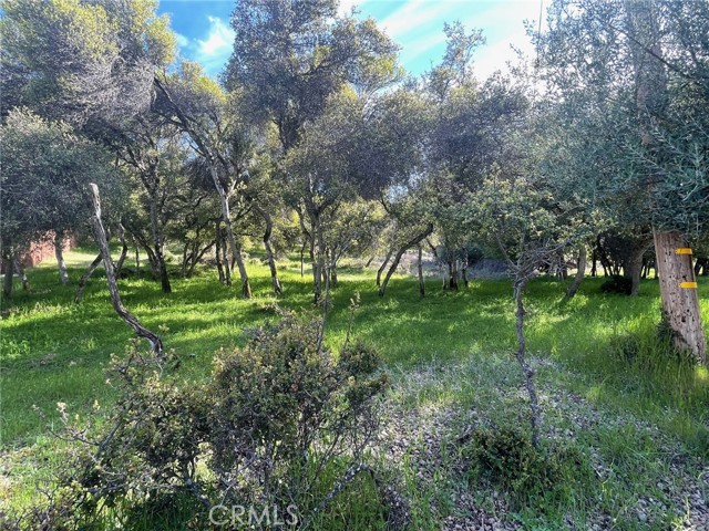 10789 Harbor Road, Kelseyville
