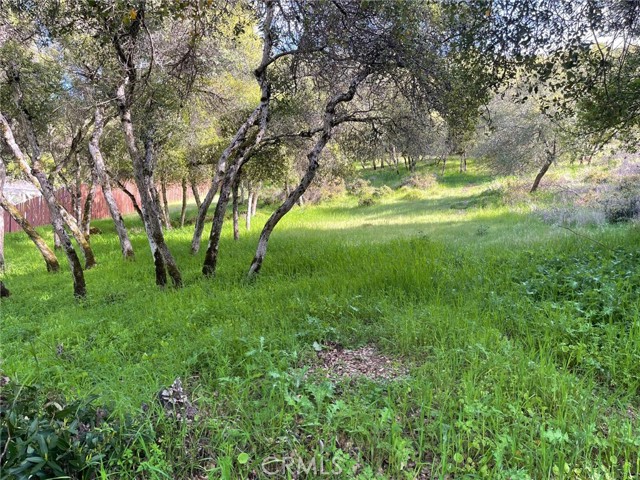 10789 Harbor Road, Kelseyville