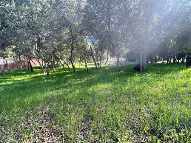 10789 Harbor Road, Kelseyville