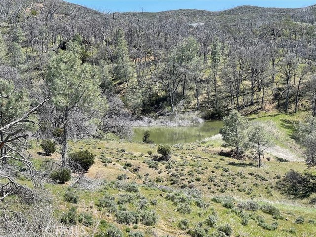 9650 Rocky Creek Road, Lower Lake