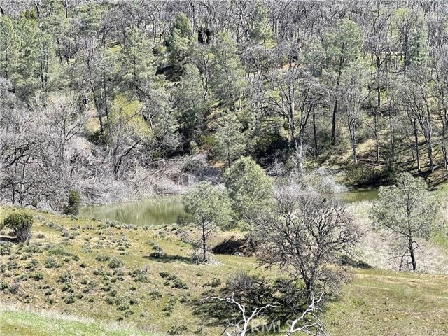 9650 Rocky Creek Road, Lower Lake