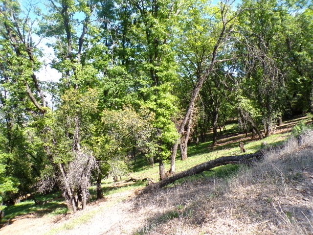 3054 Riviera Heights Drive, Kelseyville