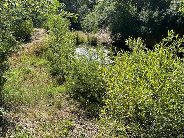 27257 19N16 Road, Upper Lake