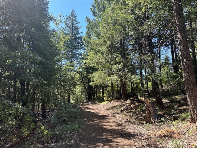 27257 19N16 Road, Upper Lake