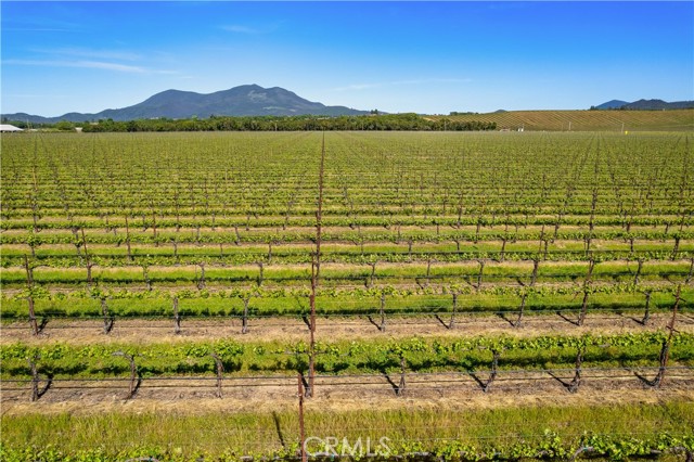 1650 Bell Hill Road, Kelseyville