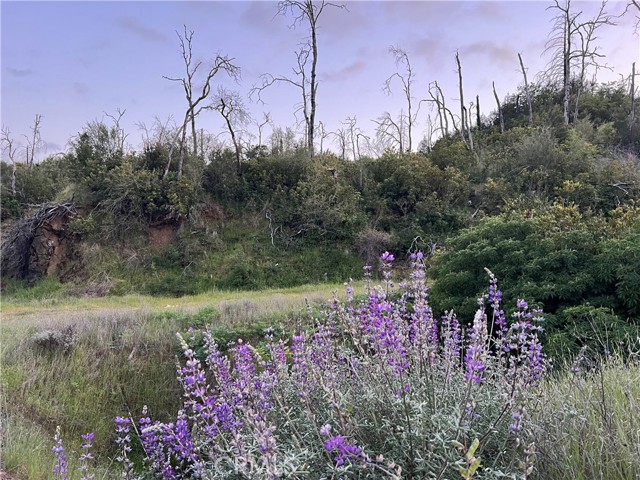19075 State Highway 175, Middletown