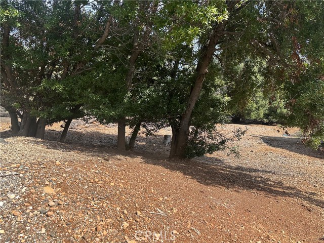 8146 Broadview Drive, Kelseyville