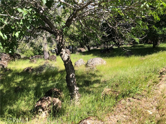 13616 Anderson Road, Lower Lake