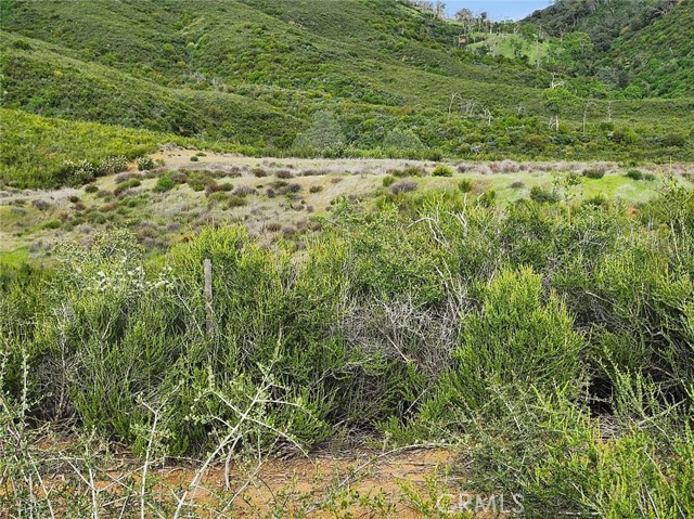 10480 Sky High Ridge Road, Lower Lake