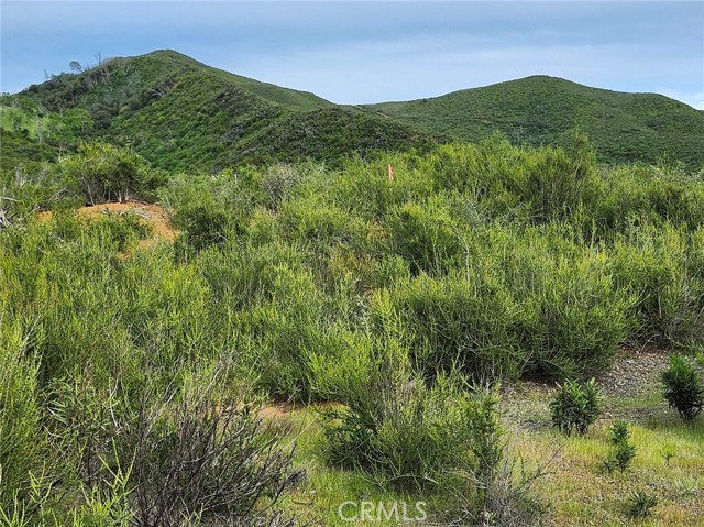 10480 Sky High Ridge Road, Lower Lake