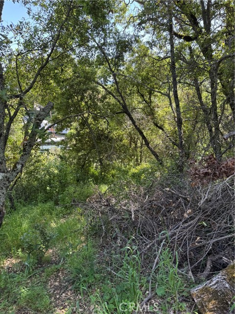 6705 Floyd Way, Nice
