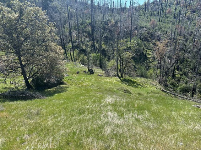 8191 Deer Valley Road, Lucerne