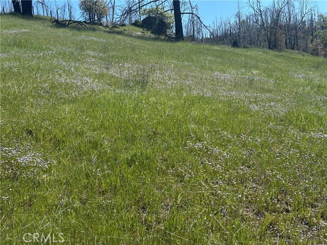 8191 Deer Valley Road, Lucerne