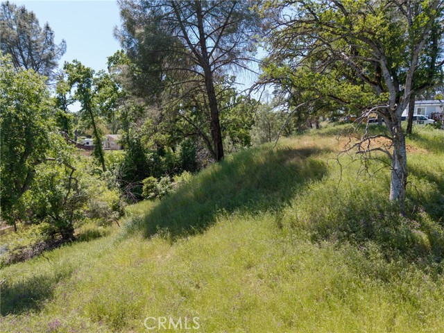 17105 Deer Park Drive, Lower Lake