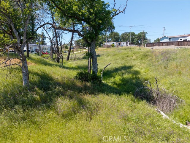 17105 Deer Park Drive, Lower Lake