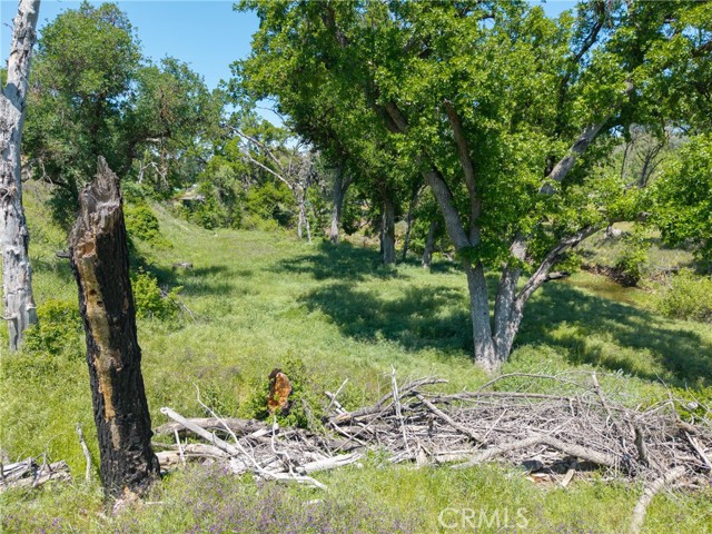 17105 Deer Park Drive, Lower Lake