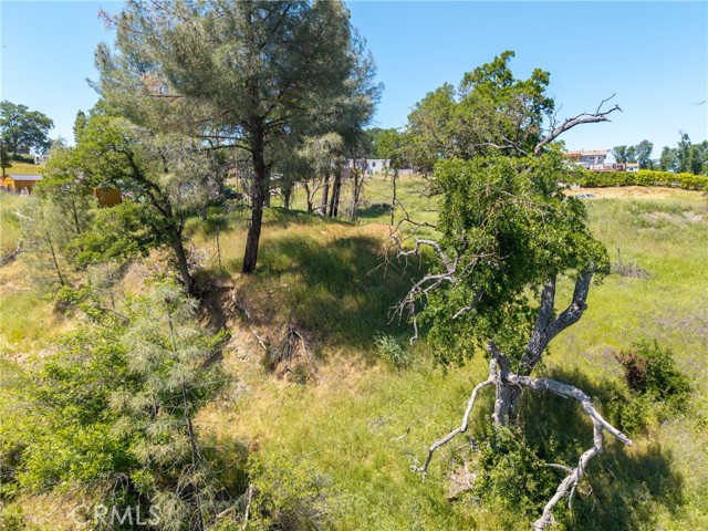 17105 Deer Park Drive, Lower Lake