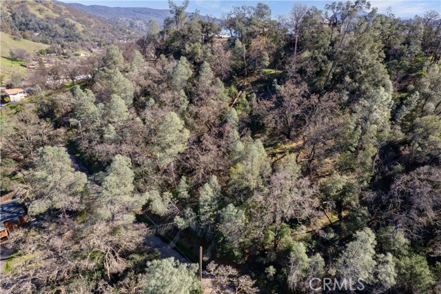 7022 Black Oak Street, Nice