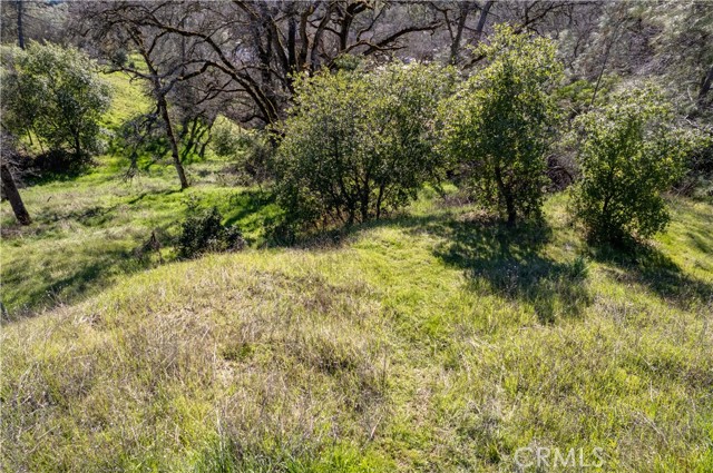7231 Inyo Street, Nice