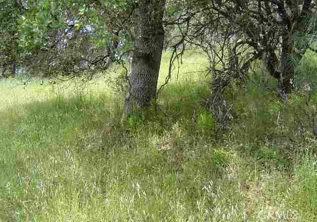 15709 Cache Creek Road, Clearlake Oaks