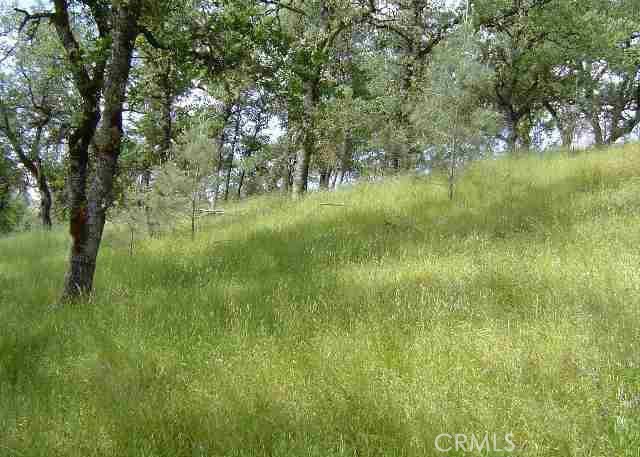 15709 Cache Creek Road, Clearlake Oaks