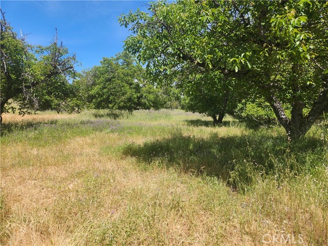 6755 Highland Springs Road, Lakeport