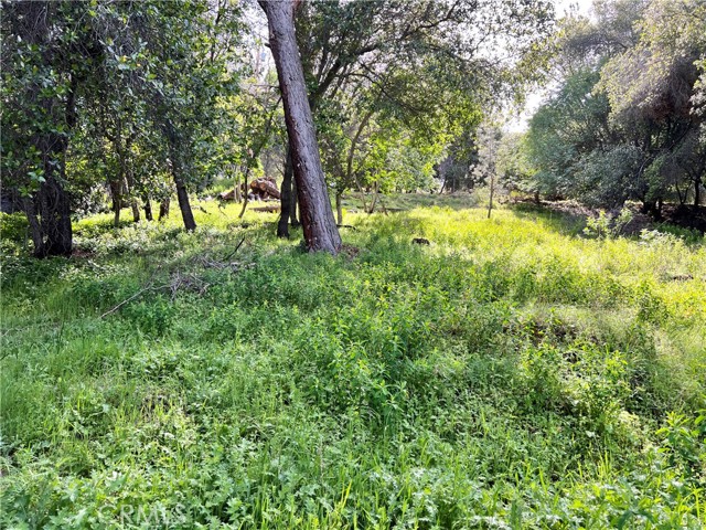 3356 Southlake Court, Kelseyville