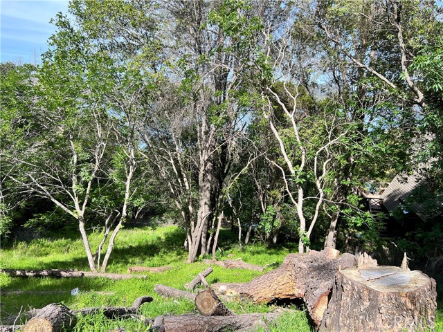3356 Southlake Court, Kelseyville