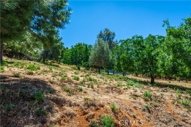 3126 Edgewood Drive, Kelseyville