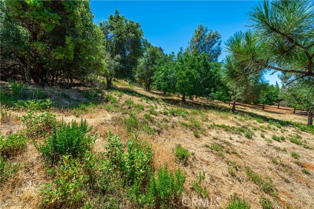3126 Edgewood Drive, Kelseyville