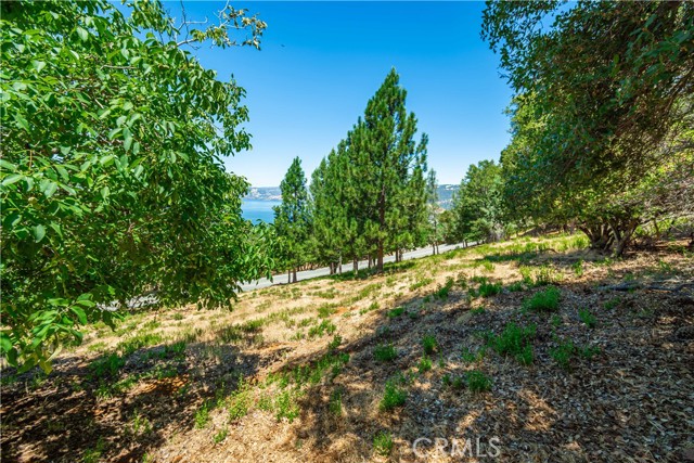 3126 Edgewood Drive, Kelseyville