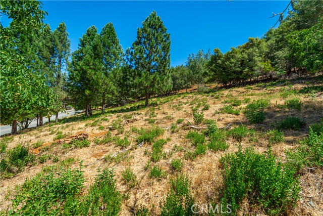 3126 Edgewood Drive, Kelseyville