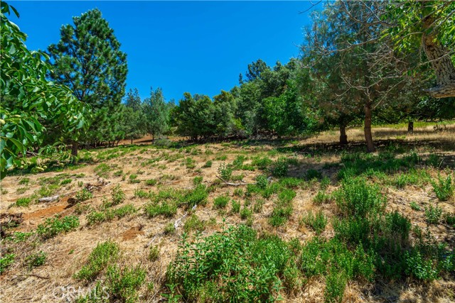 3126 Edgewood Drive, Kelseyville