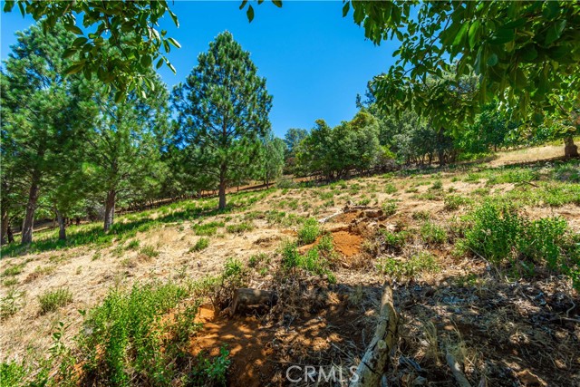 3126 Edgewood Drive, Kelseyville