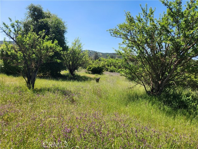 14241 Mcbride Court, Clearlake Oaks
