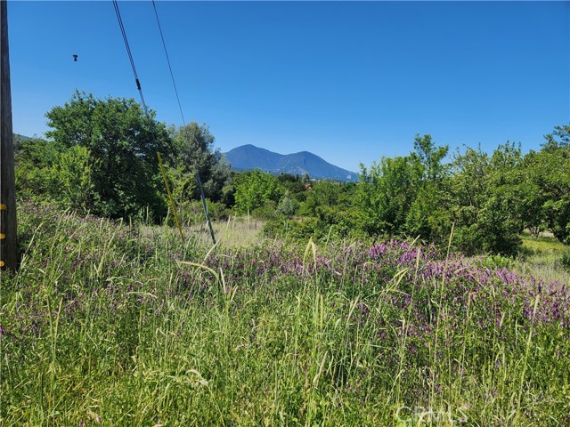 14241 Mcbride Court, Clearlake Oaks