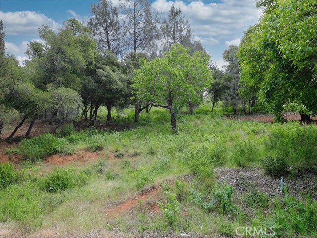 3218 Skyline Drive, Kelseyville