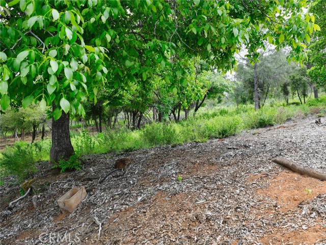 3218 Skyline Drive, Kelseyville