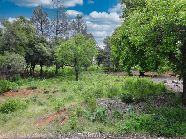 3218 Skyline Drive, Kelseyville