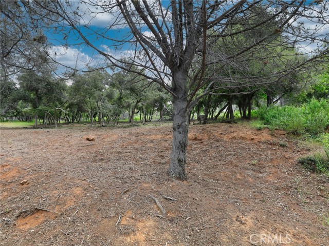 3218 Skyline Drive, Kelseyville