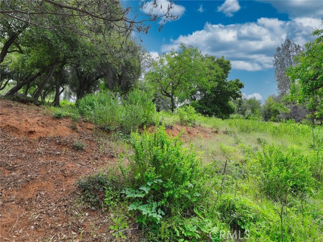 3218 Skyline Drive, Kelseyville