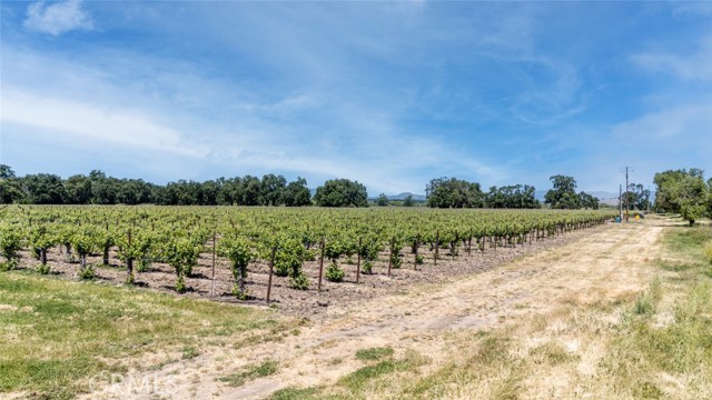 270 Soda Bay Road, Lakeport