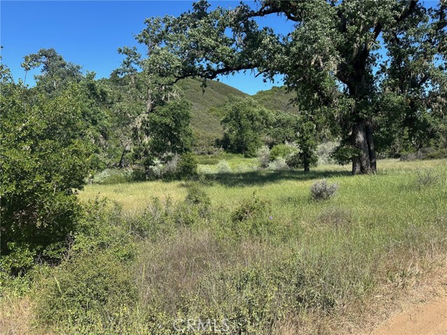 7300 Ridge Road, Lakeport